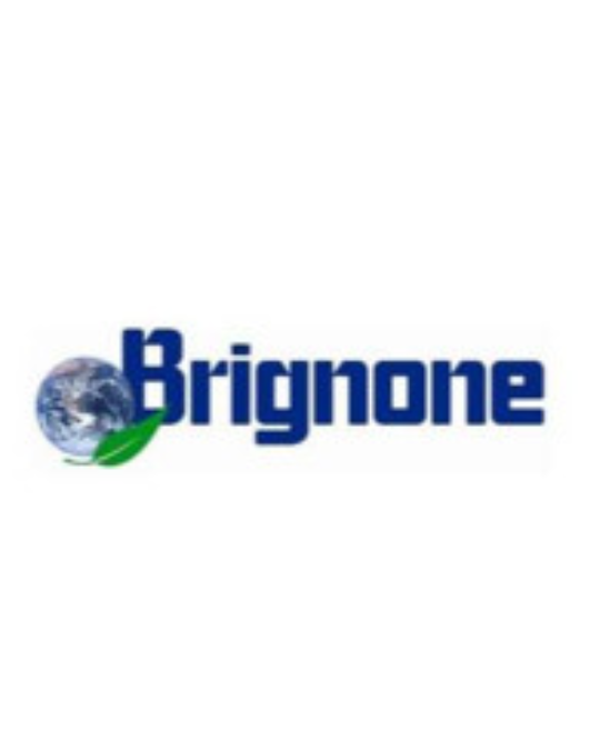 Brignone